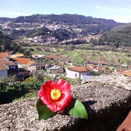 Casinha Da Sobreira Vila Penacova Exterior foto