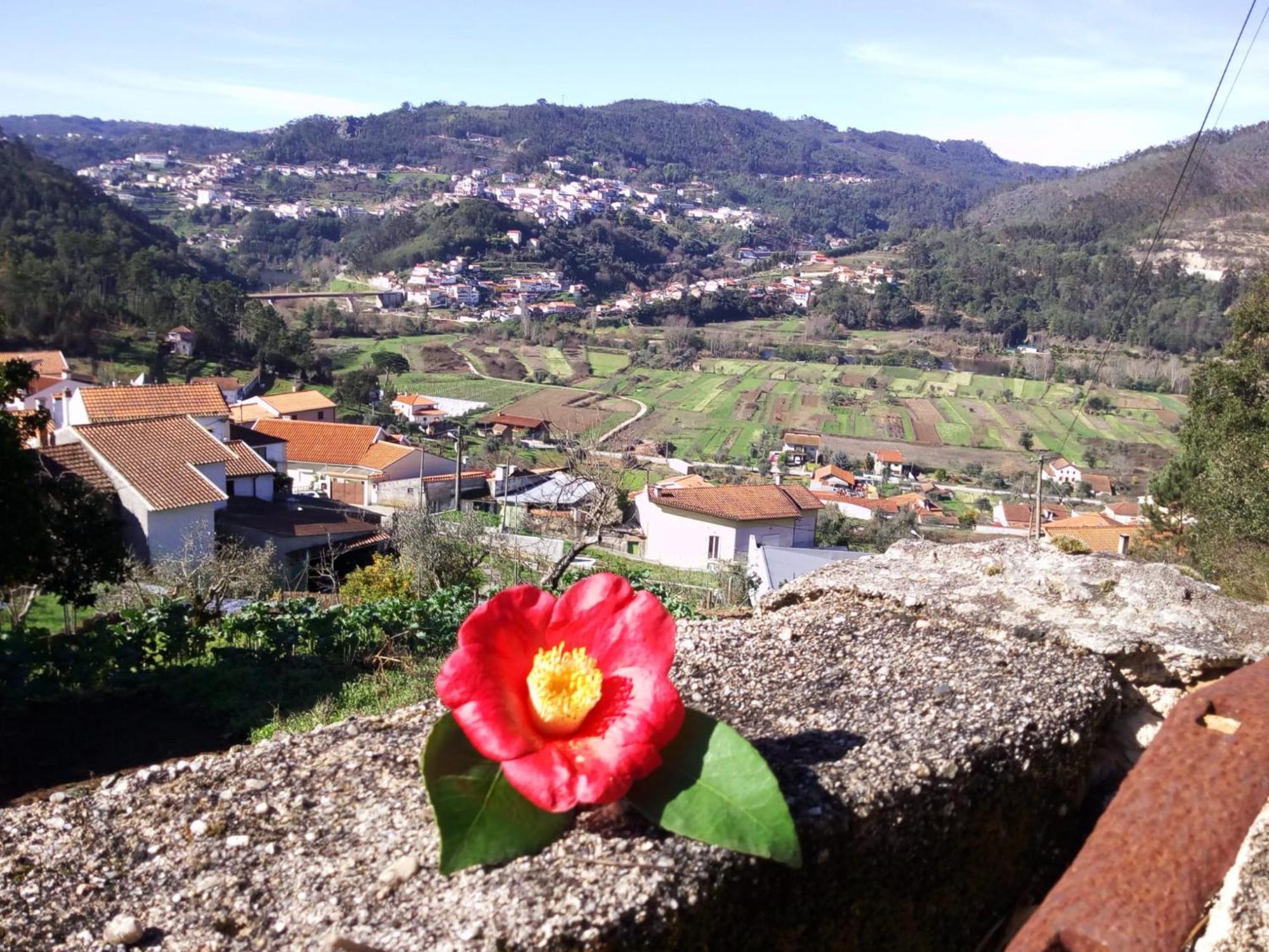 Casinha Da Sobreira Vila Penacova Exterior foto